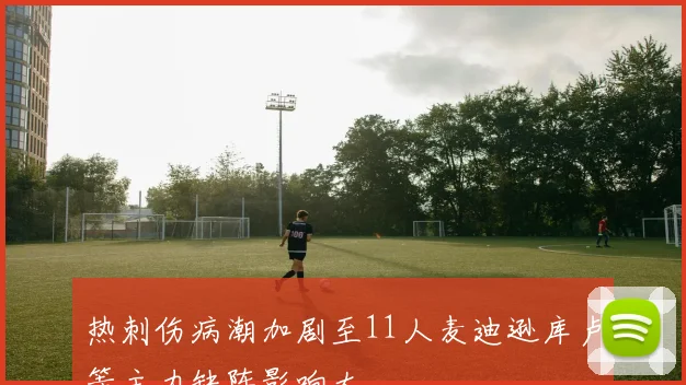 热刺伤病潮加剧至11人麦迪逊库卢等主力缺阵影响大